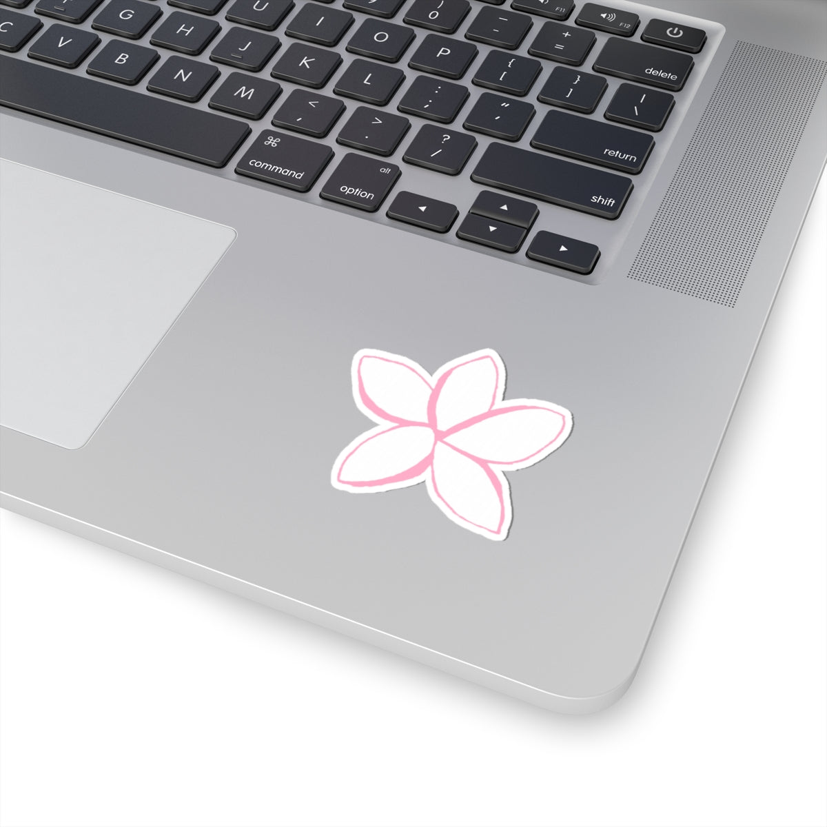 Pink Plumeria Kiss