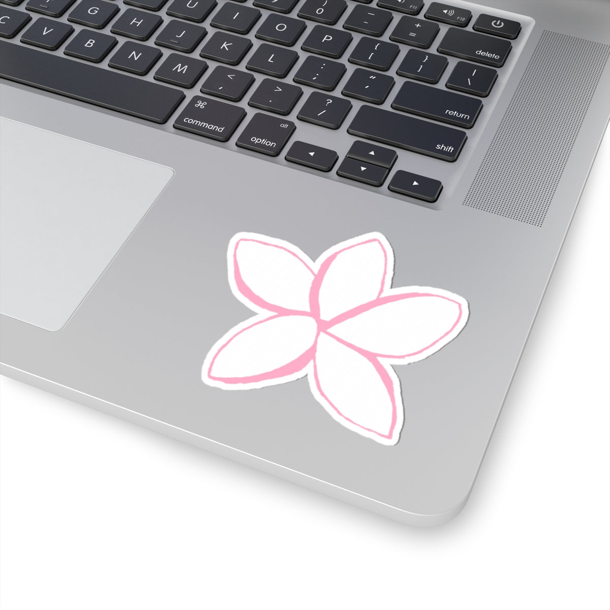 Pink Plumeria Kiss